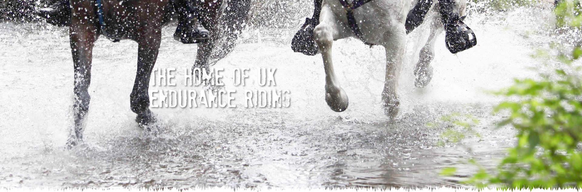 The Home of UK Endurance Riding