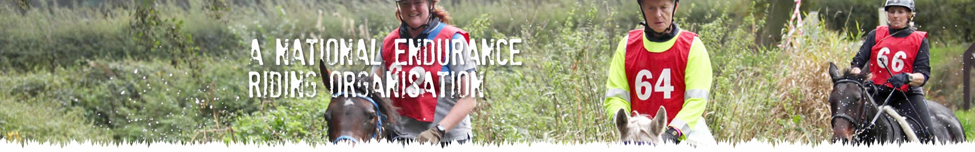 About Sport Endurance