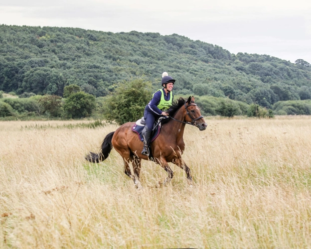 Discounted entry fees