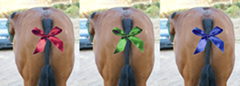 Tail Ribbons